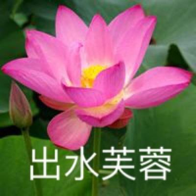三国志幻想大陆官方正版下载